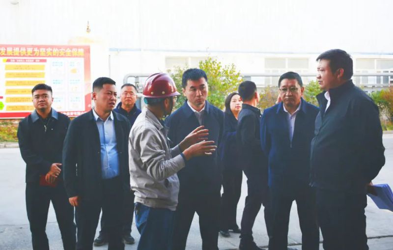 大通縣委副書記、縣長馬明旭一行蒞臨工投公司調(diào)研指導(dǎo)